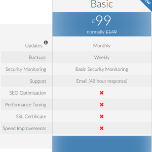 Basic Website Maintenance Package